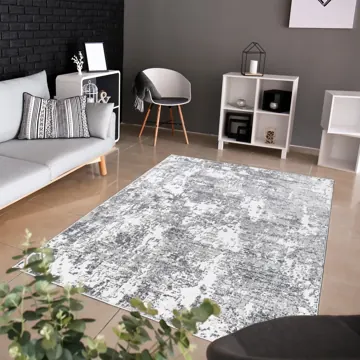 Apollo rug under a white sofa