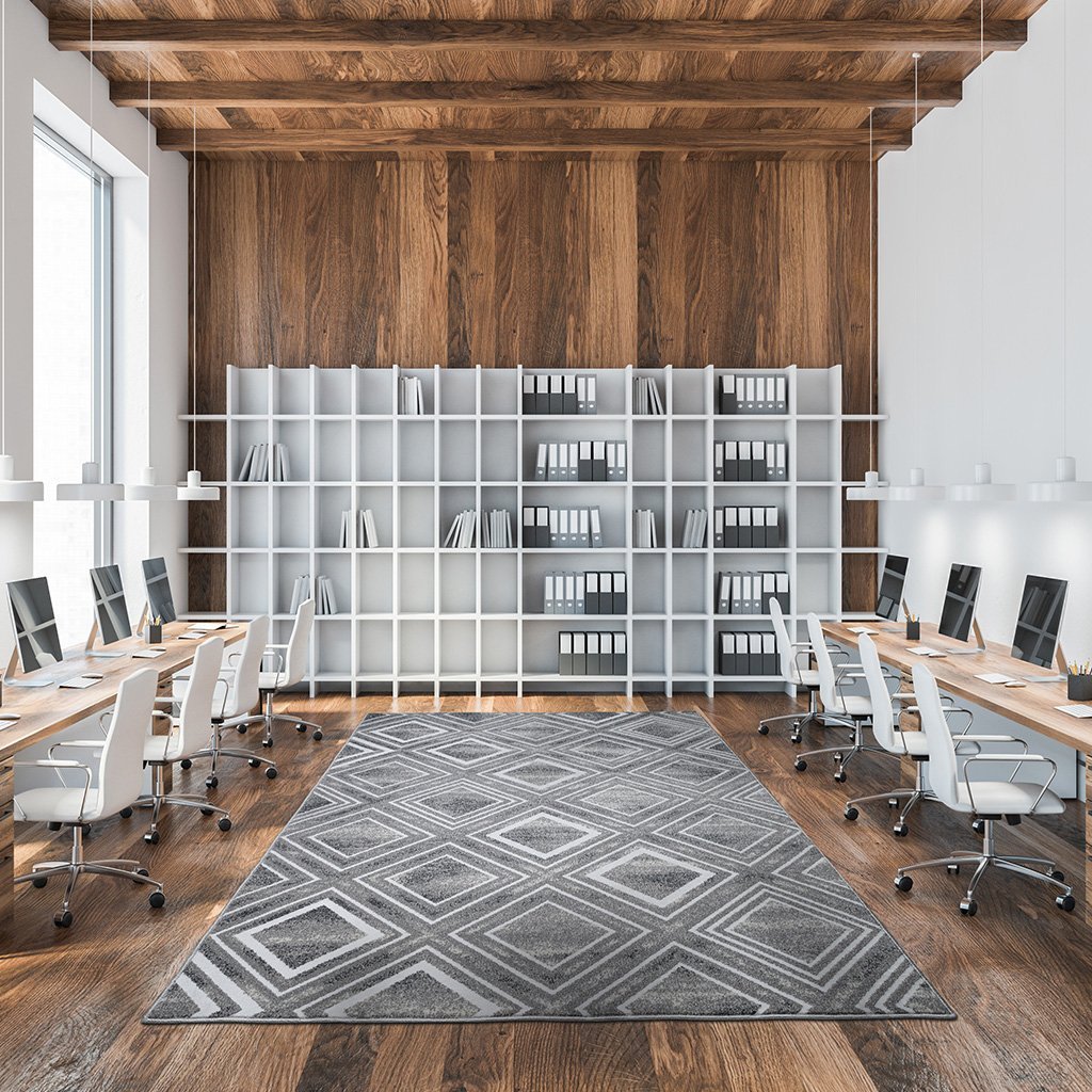 Apollo rug in an office space
