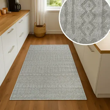 Olymp runner in a kitchen