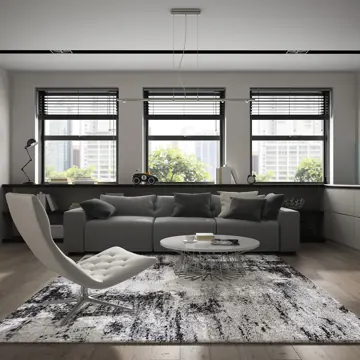 Phoenix rug in a dark living room