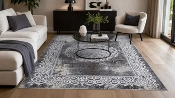 Victoria ornate bordered rug in a living room